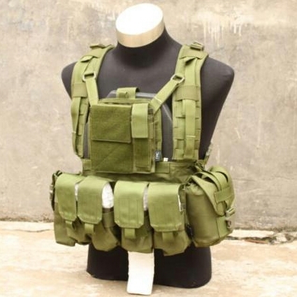 MOLLE RRV Plate Carrier with Pouc (OD)