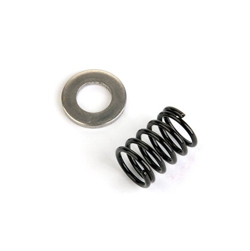  AIP ENHANCED RECOIL SPRING AND SHIM 