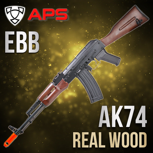 APS EBB AK74 / Steel (+Weathering)